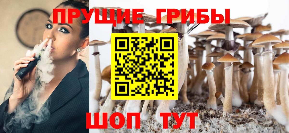 Галлюциногенные грибы прущие грибы Рассказово